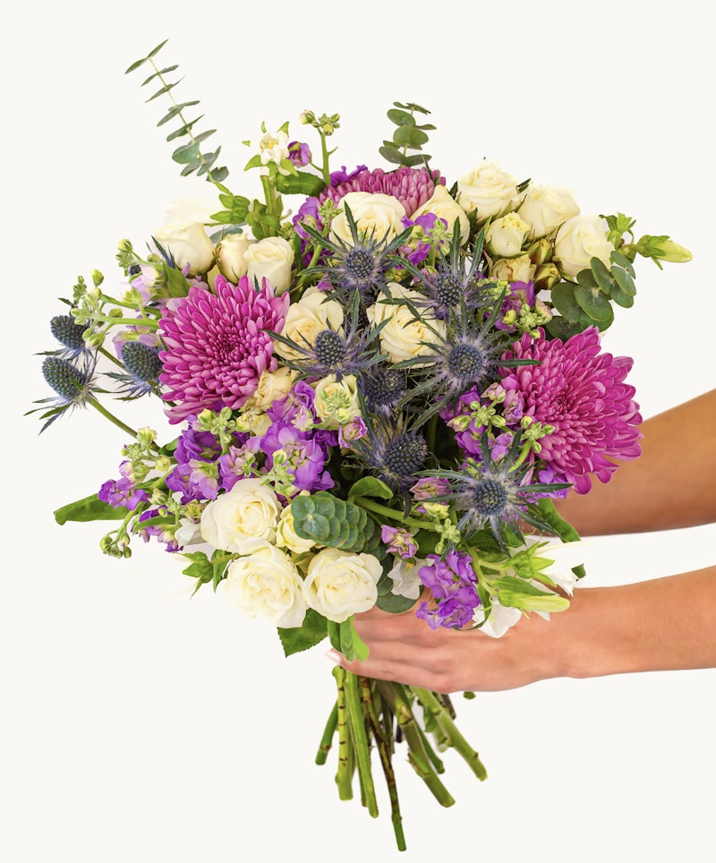 A person holding a vibrant bouquet with pink chrysanthemums, white roses, purple accents, and green foliage, isolated on a white background for a fresh, floral presentation.