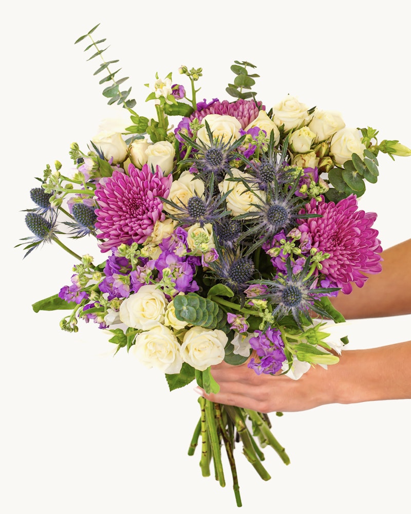 A person holding a vibrant bouquet with pink chrysanthemums, white roses, purple accents, and green foliage, isolated on a white background for a fresh, floral presentation.
