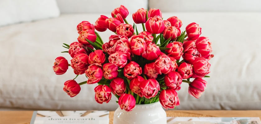 Vibrant bouquet of pink tulips in a white vase, adding charm to any living space.