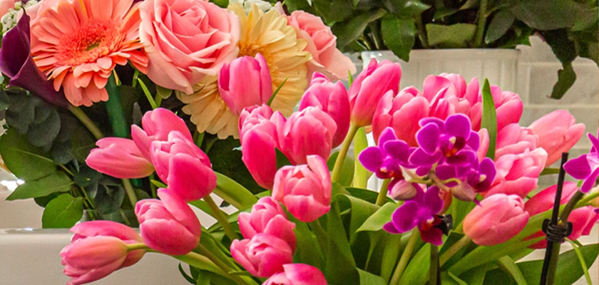 Vibrant floral arrangement featuring pink tulips, orchids, and cheerful gerbera daisies.