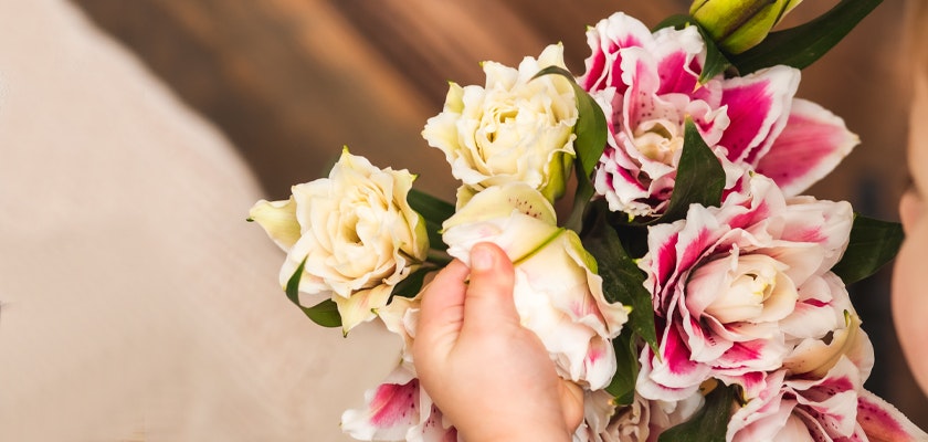 A hand holding a vibrant bouquet of white and pink tulips, surrounded by lush greenery.