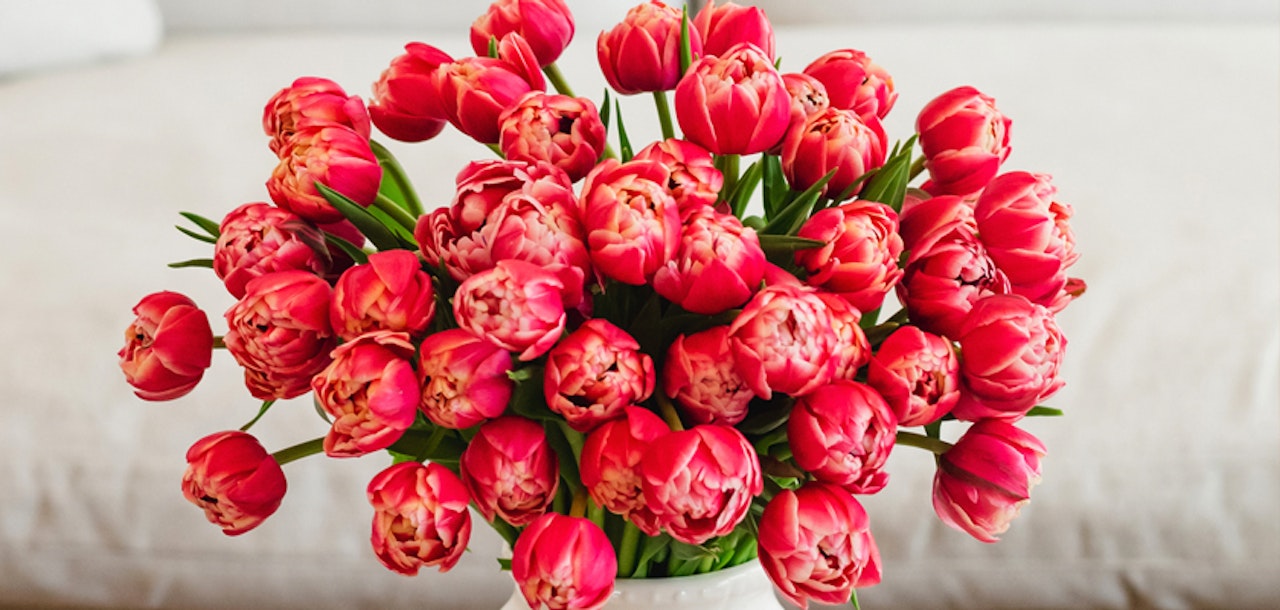 Bouquet of vibrant red and pink tulips in full bloom, arranged in a white vase placed on a light-colored table with a subtly blurred background.