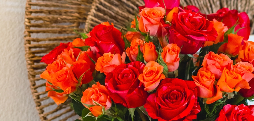 Vibrant bouquet of red and orange roses, radiating warmth and beauty in a floral display.