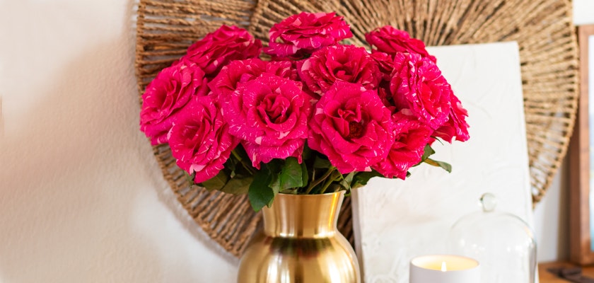 Vibrant pink roses elegantly arranged in a golden vase, perfect for home decor.