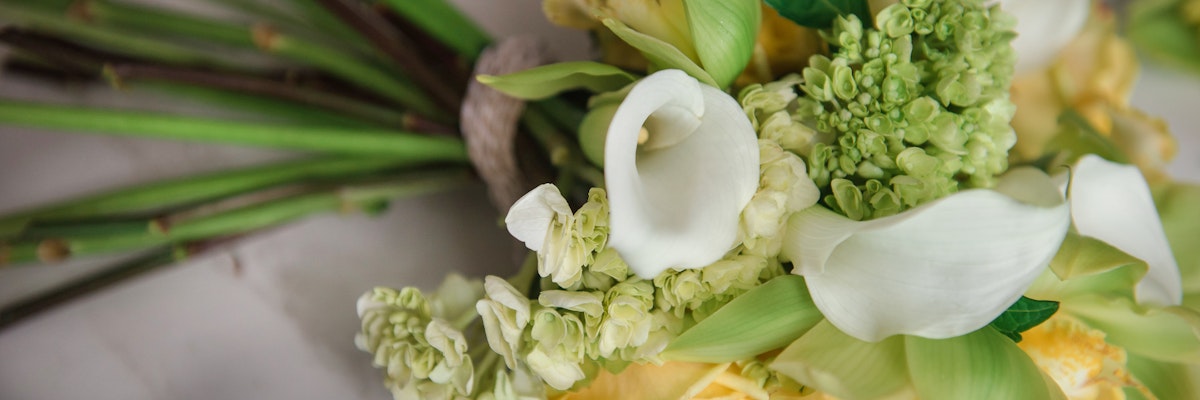 Elegant floral arrangement featuring white calla lilies and soft green accents, perfect for events.