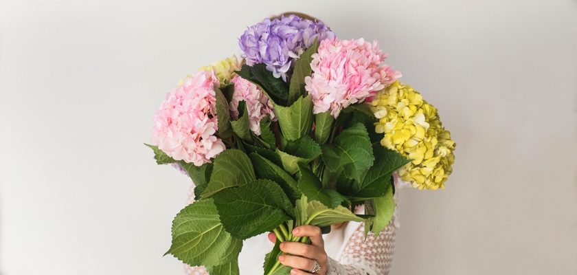A vibrant bouquet of hydrangeas in pink, purple, and yellow shades, perfectly arranged.