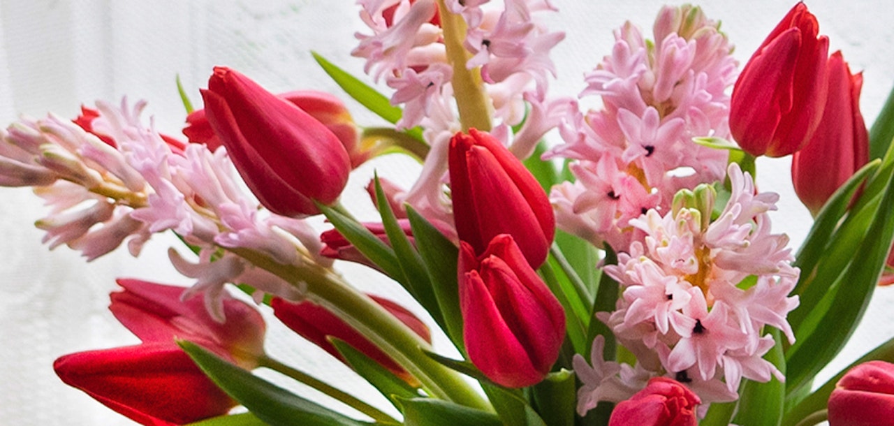 Vibrant bouquet of red tulips and pink hyacinths, perfect for spring celebrations.