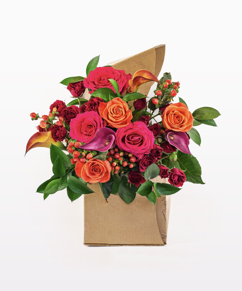 Bright bouquet of red and orange roses with purple accents and greenery wrapped in brown paper against a white background, ideal for gifts or decoration.