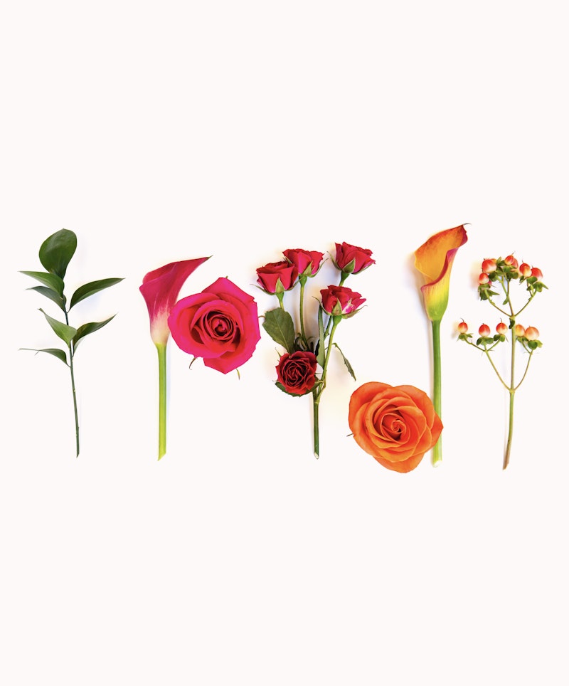 An assortment of flowers, including green leaves, red mini roses, vibrant pink calla lilies, an orange rose, and a bunch of berry-like blooms, isolated on a white background.