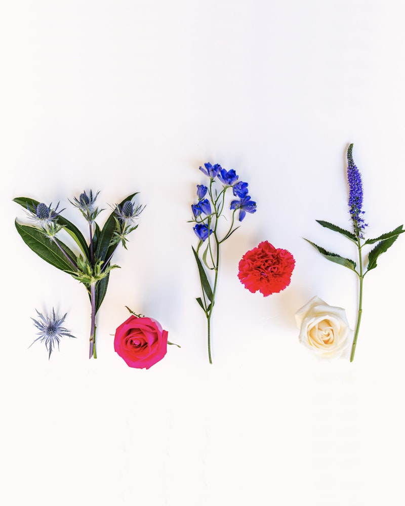 A vibrant assortment of flowers including eryngium, a pink rose, delphinium, a red carnation, and a white rose with green leaves, symmetrically arranged on a white background.