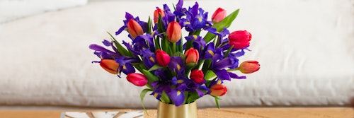 Vibrant bouquet of red tulips and purple irises arranged in a golden vase on a wooden table with a blurred sofa in the background.