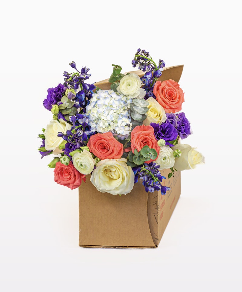 Vibrant bouquet featuring a mix of purple and pink flowers alongside white roses, all arranged in a cardboard box on a white background.