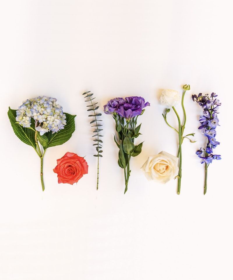 A variety of flowers neatly arranged on a white background, including blue hydrangea, a red rose, white roses, purple lisianthus, and blue delphiniums, displaying a spectrum of colors.