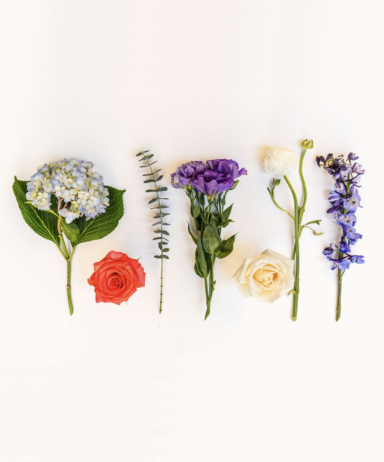 Colorful arrangement of various flowers, including roses and hydrangeas, lined up elegantly.