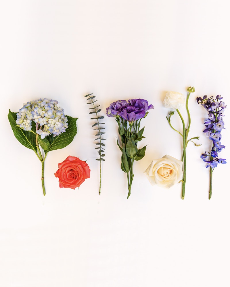 A variety of flowers neatly arranged on a white background, including blue hydrangea, a red rose, white roses, purple lisianthus, and blue delphiniums, displaying a spectrum of colors.