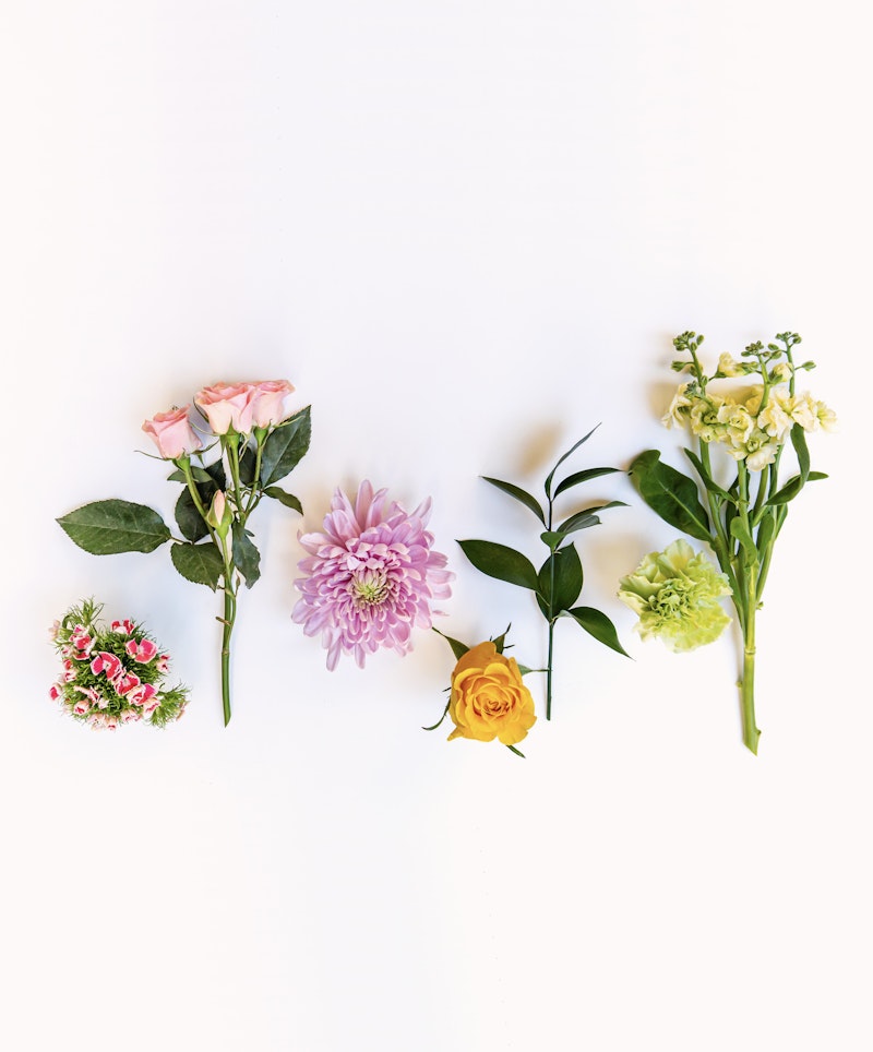 A selection of vibrant flowers arranged neatly on a white background, including pink roses, a purple chrysanthemum, a yellow rose, and greenery.
