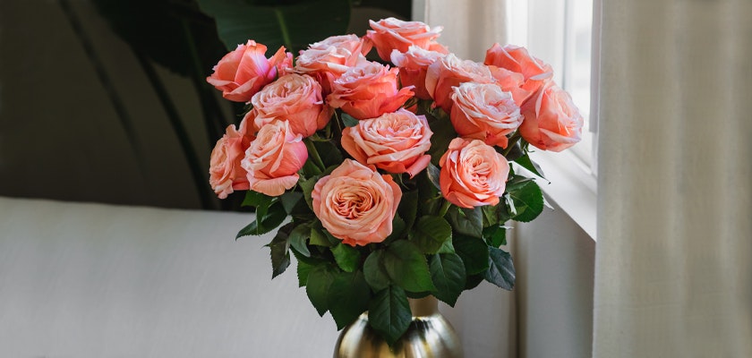 Elegant bouquet of peach roses with lush green leaves, brightening up any room.