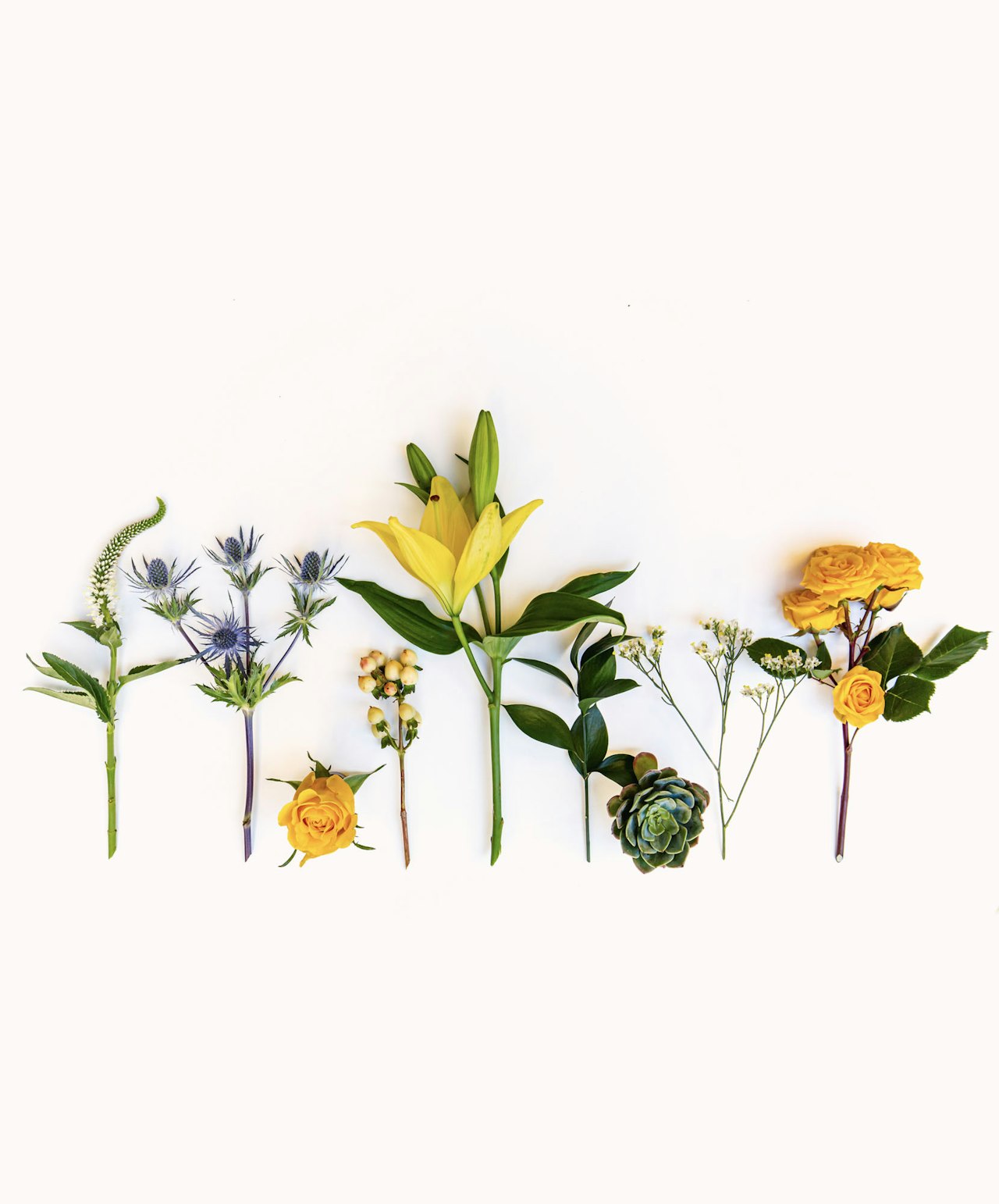 Vibrant floral arrangement featuring yellow roses, lilies, and blue thistles on a soft backdrop.