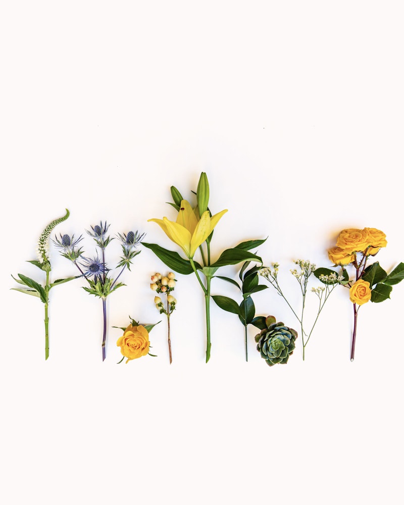 Assortment of vibrant flowers and plants arranged horizontally on a white background, including purple blooms, yellow lilies, and orange roses.