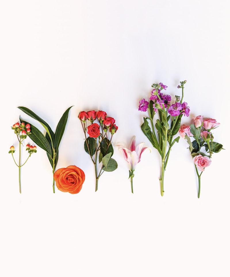 Assorted fresh flowers including orange roses, red spray roses, purple stock, and pink lilies artistically arranged in a row against a clean white background.