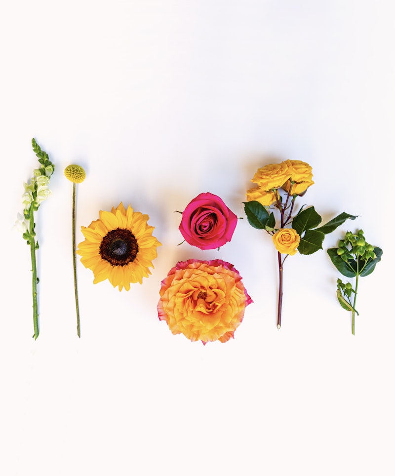 A vibrant assortment of fresh flowers, including a sunflower, roses, and other blooms, arranged neatly in a row against a bright white background.