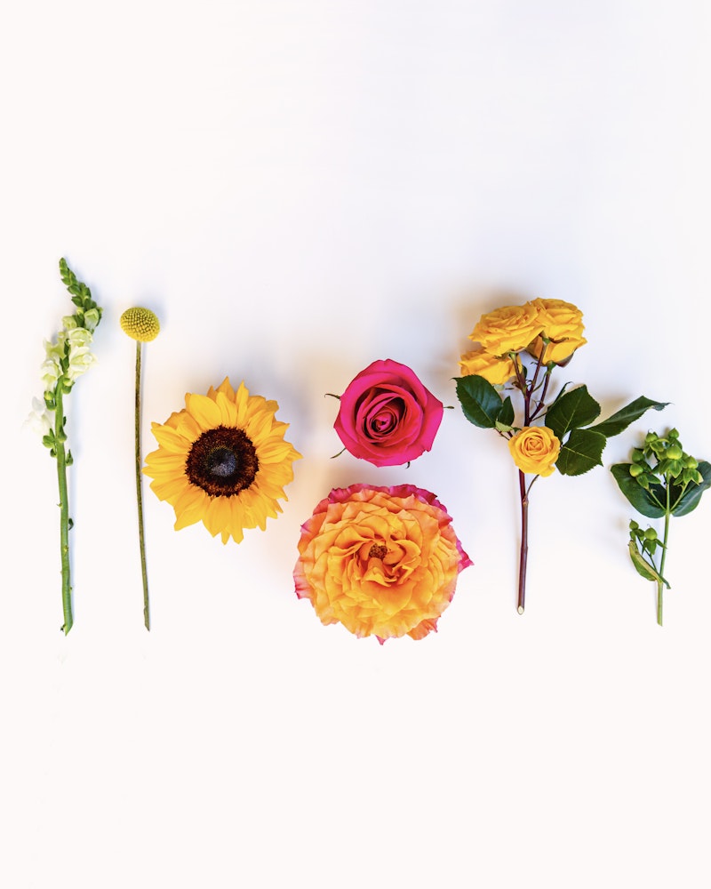 A vibrant assortment of fresh flowers, including a sunflower, roses, and other blooms, arranged neatly in a row against a bright white background.