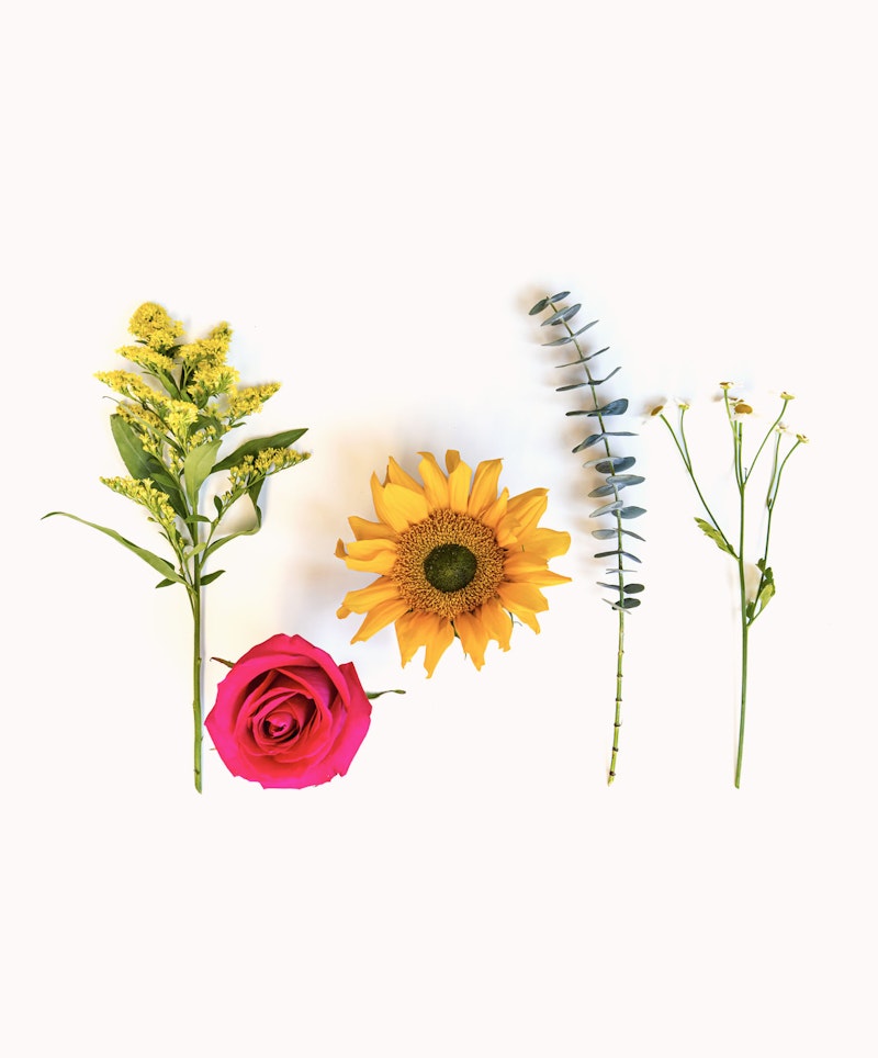 A vibrant arrangement of assorted flowers, including a yellow sunflower, a pink rose, eucalyptus, and other greenery, laid out neatly against a white background.