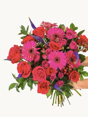 Vibrant bouquet featuring pink gerbera daisies and red roses, ideal for celebrations.