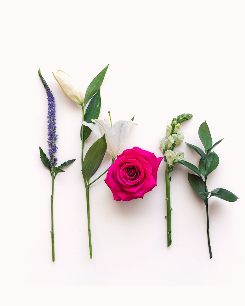 A vibrant array of flowers neatly arranged in a row on a white background, featuring a pink rose, white lily, and other assorted green foliage.