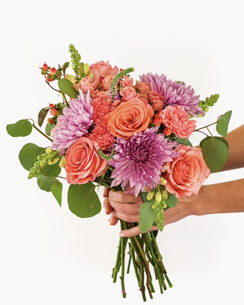 Hands holding a beautiful bouquet of flowers with pink roses, purple chrysanthemums, and greenery against a white background, perfect for special occasions.