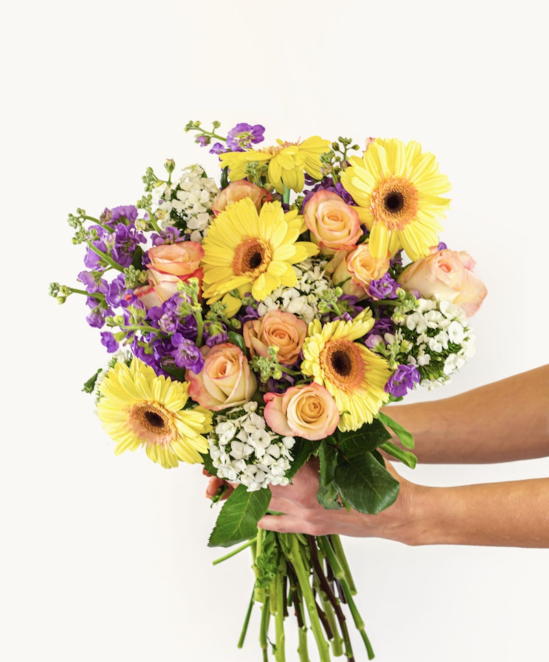 Close-up of a vibrant bouquet with yellow gerberas, peach roses, purple accents, and white baby's breath held by hands, against a white background.