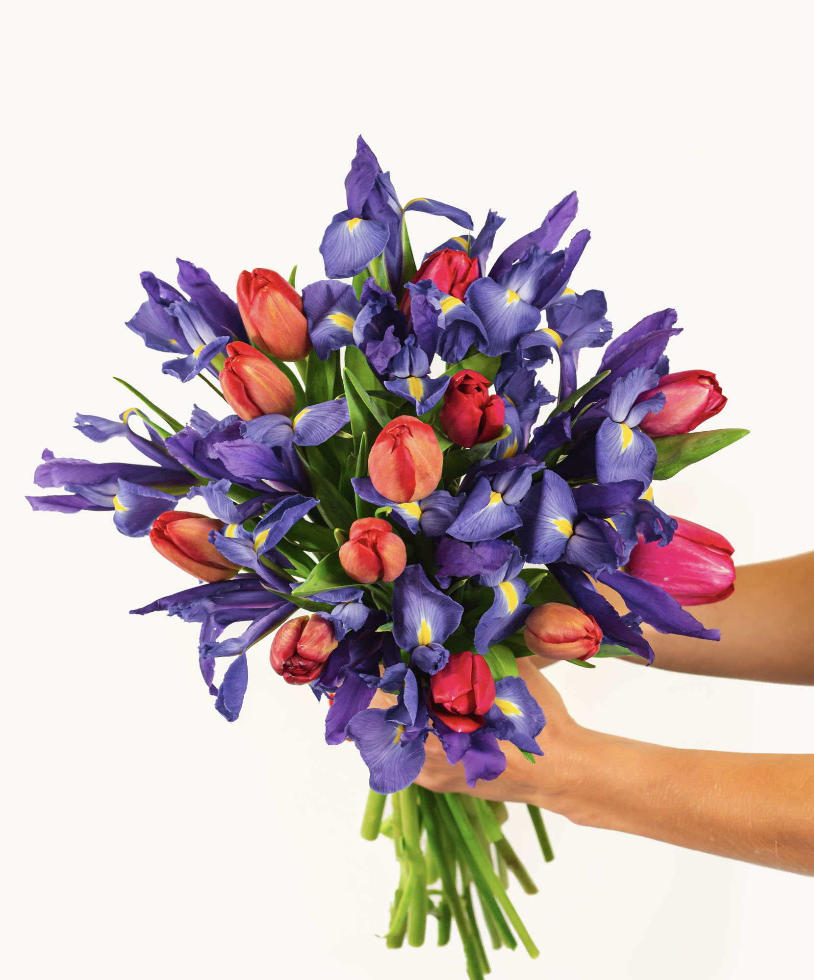 Vibrant bouquet of purple iris and red tulips, perfect for any celebration.
