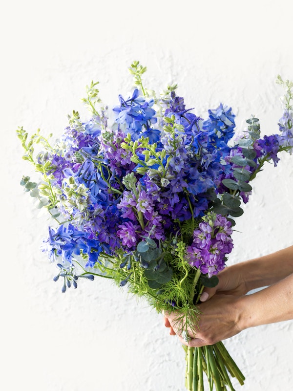 A vibrant bouquet of blue and purple flowers held by a person against a white wall, showcasing a beautiful array of fresh spring florals in full bloom.