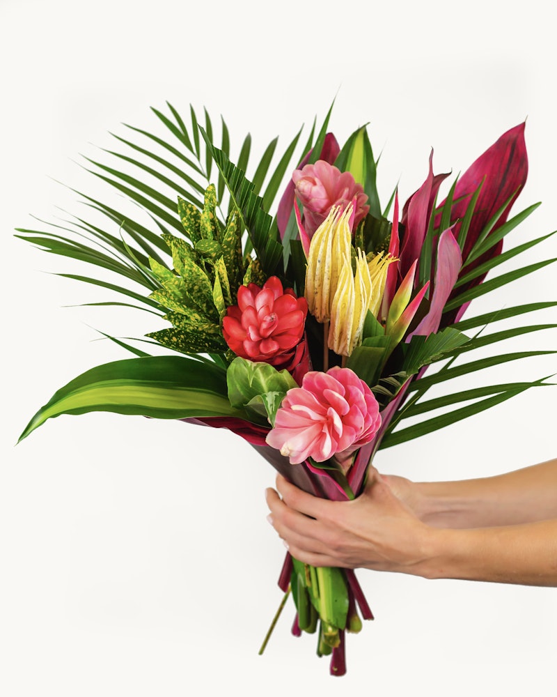 A person holds a vibrant tropical bouquet with pink, red, yellow flowers and lush green leaves against a white background, showcasing a variety of exotic plants.