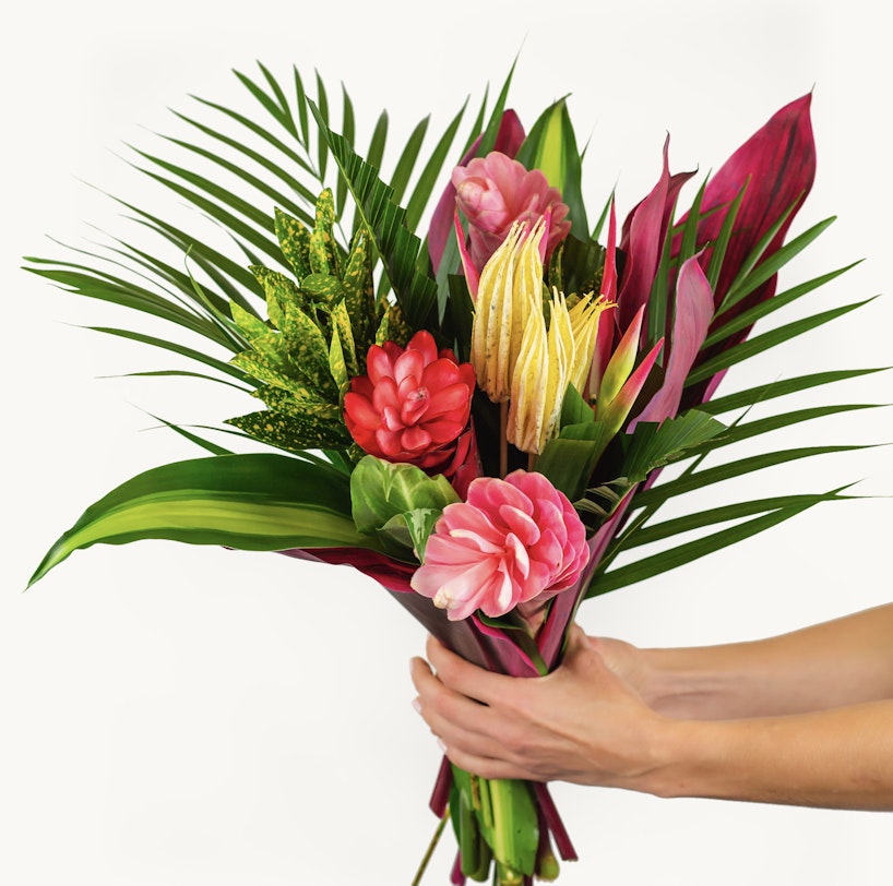 A person holds a vibrant tropical bouquet with pink, red, yellow flowers and lush green leaves against a white background, showcasing a variety of exotic plants.