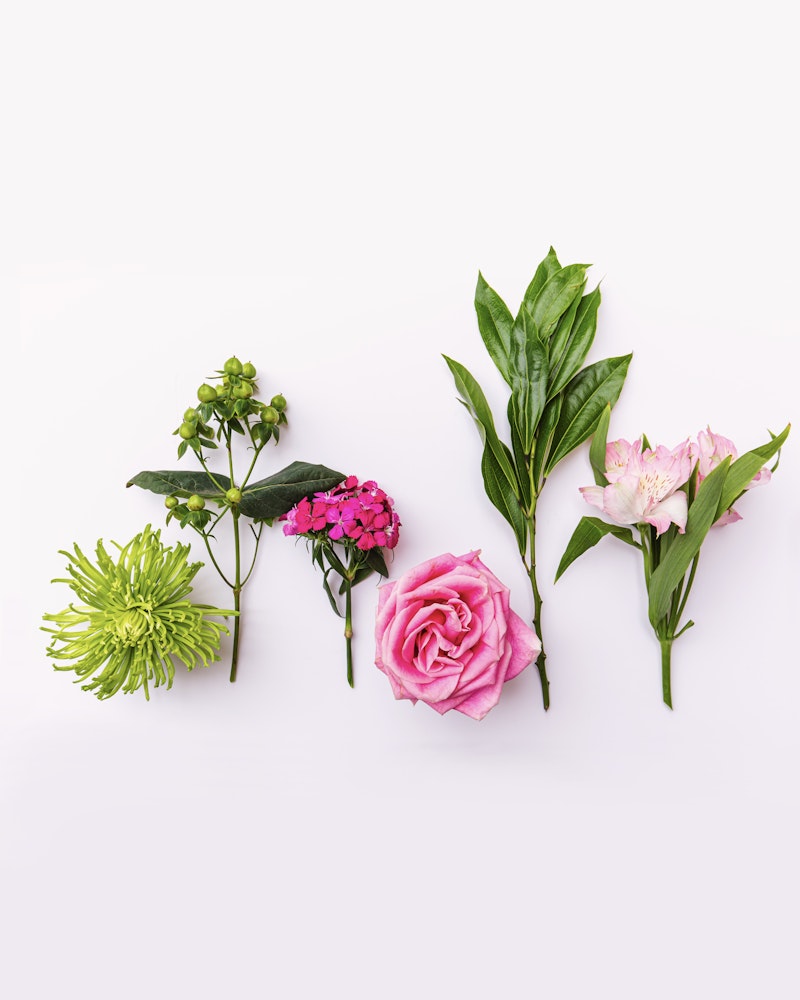 A variety of fresh flowers, including a pink rose, green spider chrysanthemum, and others, laid out neatly in a row on a white background.