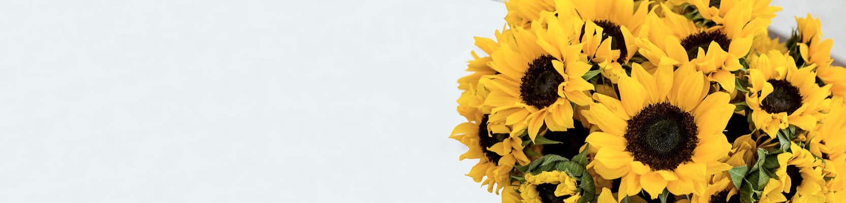 Vibrant sunflower bouquet bursting with cheerful yellow hues, perfect for brightening any space.