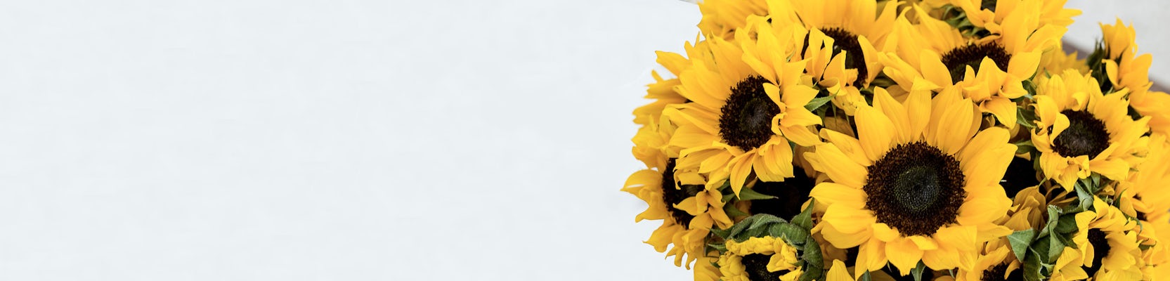 Vibrant sunflower bouquet bursting with cheerful yellow hues, perfect for brightening any space.