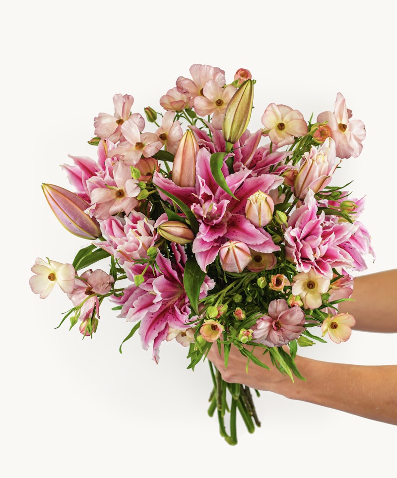A person holding a vibrant bouquet of pink lilies and assorted flowers with green stems, presented against a white background for a fresh, springtime feel.