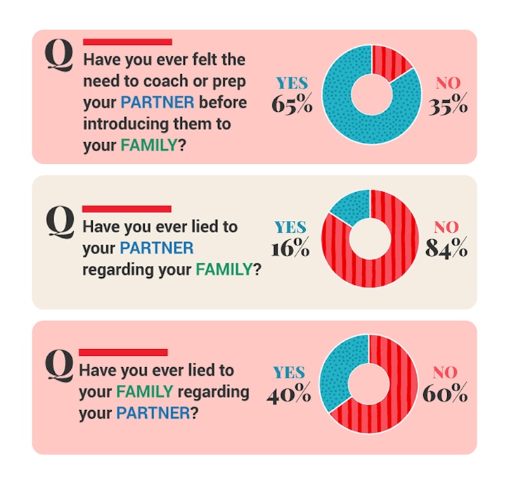 Visual infographic displaying survey results on partner and family dynamics, with colorful charts.