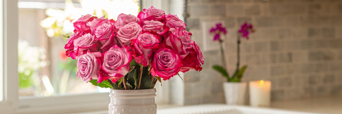 Vibrant pink roses elegantly arranged in a white vase, enhancing a bright kitchen setting.