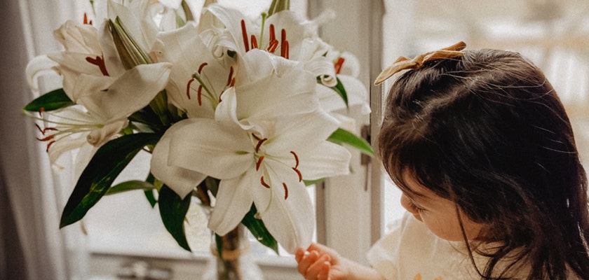 A little girl admires a beautiful bouquet of white lilies by a sunny window.