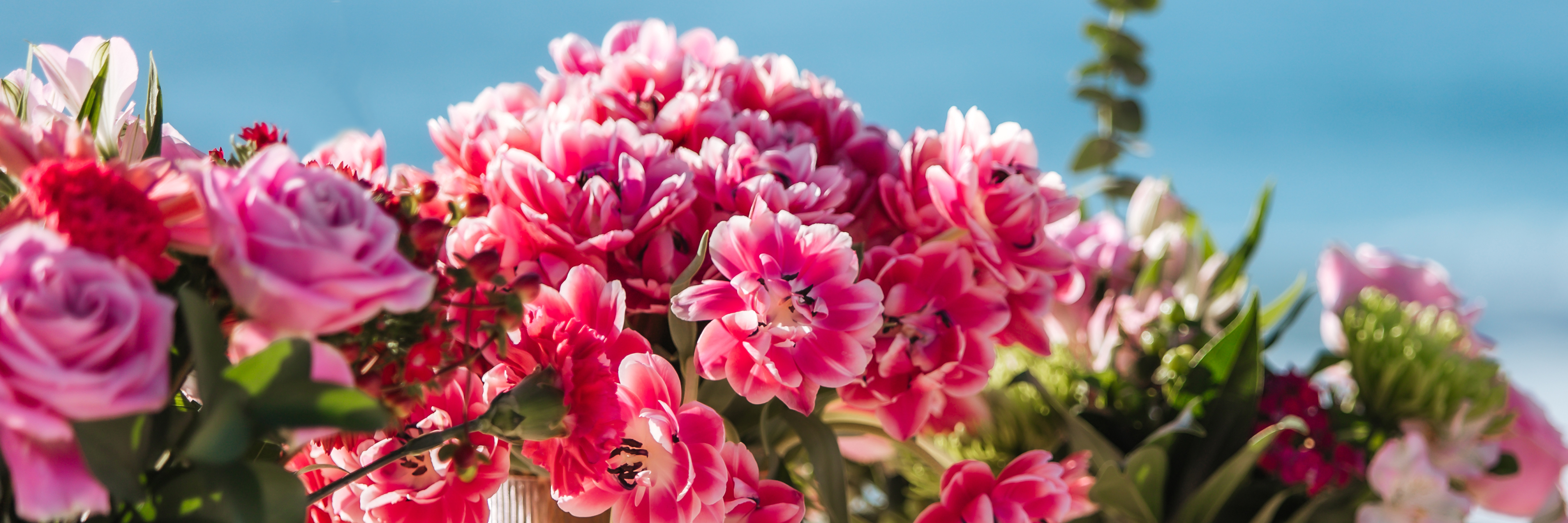Vibrant floral arrangement featuring pink and red blooms against a serene blue backdrop.