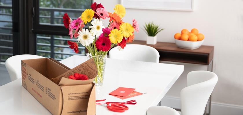 Vibrant mixed gerbera daisies in a glass vase on a dining table, ready to brighten any room.