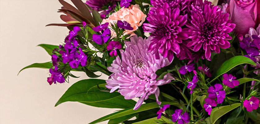 Vibrant floral bouquet featuring purple chrysanthemums and pink blooms amidst lush greenery.