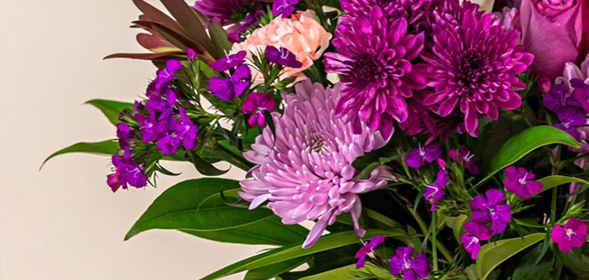 Vibrant floral bouquet featuring purple chrysanthemums and pink blooms amidst lush greenery.