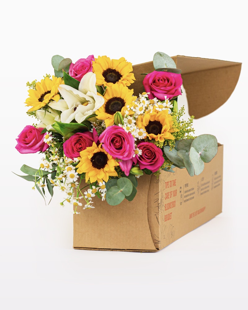 Vibrant bouquet of flowers with sunflowers, hot pink roses, white lilies, and baby's breath spilling from an open cardboard box on a white background.