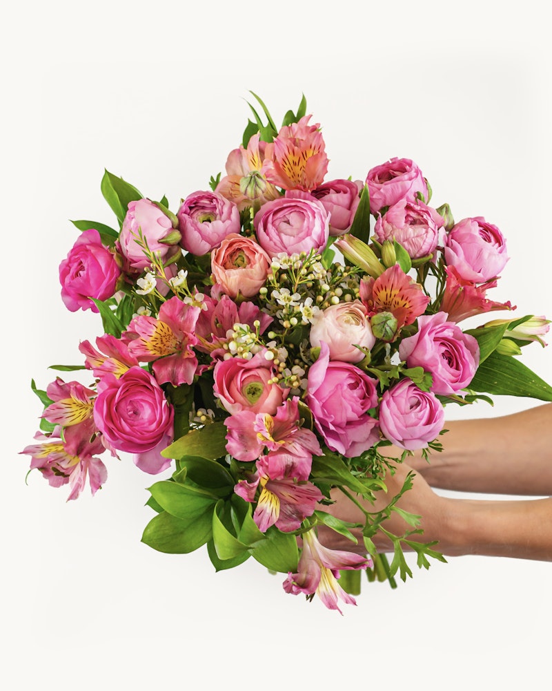 A vibrant bouquet of pink roses and alstroemeria flowers complemented by green foliage, held by a hand against a white background.