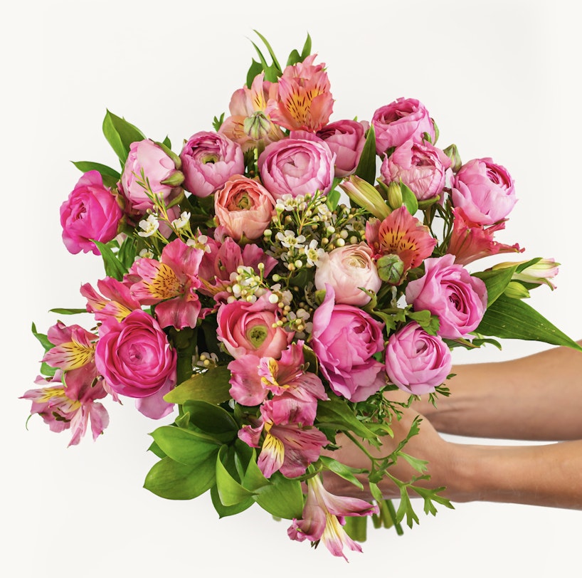 A vibrant bouquet of pink roses and alstroemeria flowers complemented by green foliage, held by a hand against a white background.