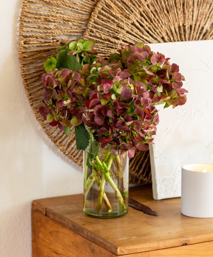 A stunning arrangement of burgundy hydrangeas in a clear vase, enhancing any decor.